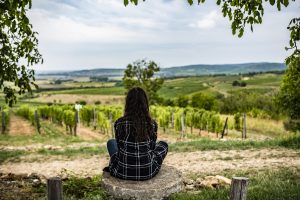 Jelenleg nincs közelgő esemény