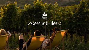 Zsendülés a szőlőben - 2026, Mád