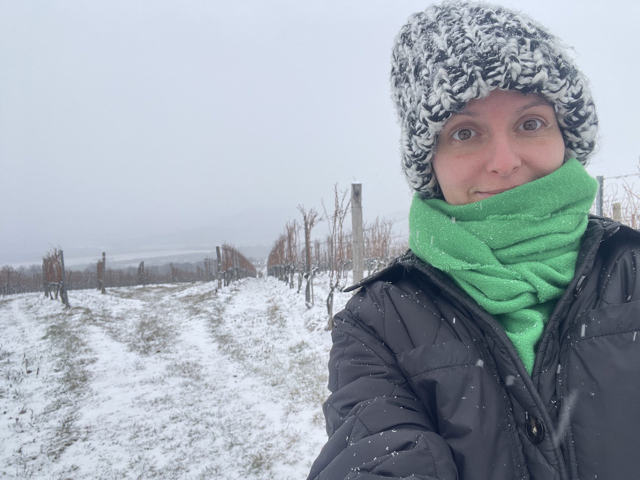 Hello 2026! - Katanapló